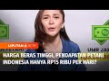 Cuanomix: Harga Beras Tinggi, Petani Indonesia Hanya Berpenghasilan Rp15 Ribu Per Hari? | Liputan 6