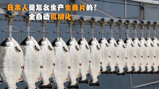 日本人怎么生产生鱼片的？全自动机械化，怪不得三文鱼这么便宜