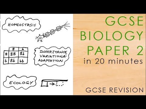 All Of BIOLOGY PAPER 2 In 20 Mins - GCSE Science Revision Mindmap 9-1 ...