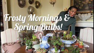 Slow, Frosty Mornings \u0026 Spring Bulbs.