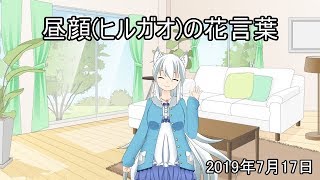 【日刊挨拶動画】2019年7月17日 昼顔(ヒルガオ)の花言葉