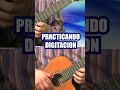 LECCIONES DE REQUINTO PARA PRINCIPIANTES