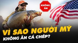 VÌ SAO NGƯỜI MỸ KHÔNG ĂN CÁ CHÉP?