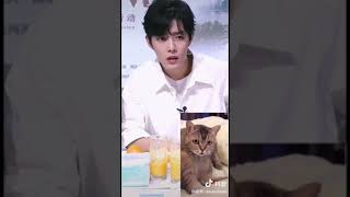 Xiao Zhan: compatibility with this cat 肖战 论与这只猫猫的适配度