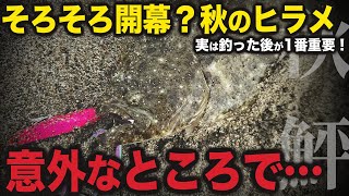 【サーフ】秋のヒラメがそろそろ開幕！釣った後にコレやってる？【釣り 宮城】