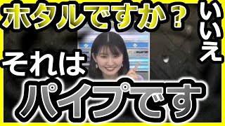 ホタルとパイプを間違えるお天気お姉さん【ウェザーニュース】【切り抜き】【駒木結衣】