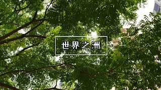 ✨世界之洲｜近林口三井outlet｜A9蛋黃區生活機能優｜零店面住宅｜歡迎來電預約賞屋✨