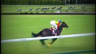 【競馬】 神戸新聞杯 2005年 ディープインパクト シックスセンス - マヤノタバラのJRA頭脳