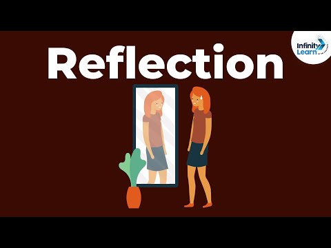 What is the light that is reflected off a mirror called?