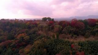 紅葉 最強の城 岡城跡（岡城址）4K 古戦場 滑瀬（ぬめりぜ）から上昇 本丸に移動 天空の城 ドローン撮影 Drone video in Oka castle 九州