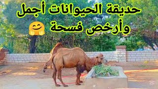 حديقة الحيوانات أجمل وأرخص فسحة في اجازة نص السنة يلا جولة كاملة واسعارها 🤗 | النزهة | فلوج | vlog