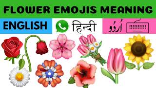 New Emojis In WhatsApp flower emoji meaning in Hindi, emoji used in whatsapp - Anas Ikhteyar