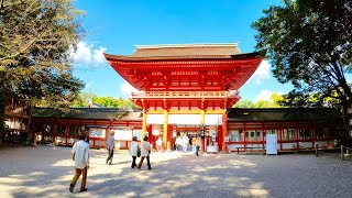 [京都お散歩] 2022年11月4日 金曜日　下鴨神社と鴨川デルタにお散歩 kyoto. 교토 산책.