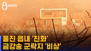 울진 읍내 '진화'…금강송 군락지 '비상' / SBS