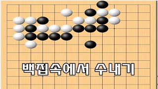 백집속에 약점공격 - 백의묘수 조심 - 바둑사활 묘수