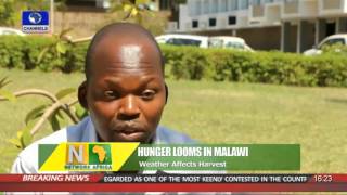 Network Africa: Hunger Looms In Malawi As Weather Affects Harvest 07/12/15