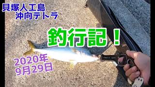 貝塚人工島沖向テトラ 釣行記2020年9月29日