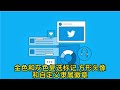 twitter推特黄v认证【代开组织认证】 twitter twitter黄v twitter代开