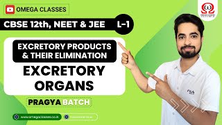 EXCRETORY ORGAN | EXCRETORY PRODUCTS AND THEIR ELIMINATION | CLASS 11 | CBSE, NEET | OMEGA CLASSES