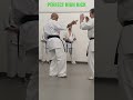 Karate Kyokushin High Kick Technique that EVERYONE should know!