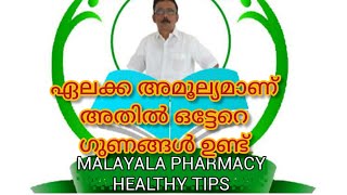 ഏലക്കാ അമൂല്യമാണ്.. അതിൽ ഒട്ടേറെ ഔഷധ ഗുണങ്ങൾ ഉണ്ട്