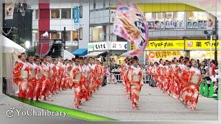 【4K】天空しなと屋 茜丸｜ズットマッスグニ（東京よさこい2015 前夜祭）