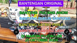 Bantengan original Joyo Eko proyo,rukun Santoso,Satrio Panji,barong lawung,Pucang Anom 2024