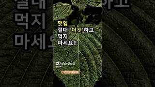 깻잎과 함께 먹으면 독이되는 음식 세가지-동의보감 추천 #건강 #음식 #삼겹살 #지식 #동의보감