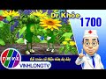 Dr. Khỏe - Tập 1700: Cải xoăn cải thiện viêm dạ dày | THVL