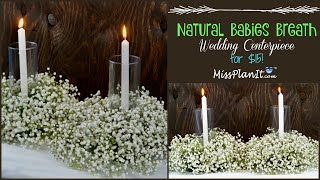 DIY Natural Babies Breath  Wedding Centerpiece for $15! | Dollar Tree DIY | DIY Tutorial