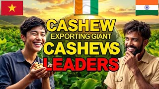 Top 10 Cashew Export Giants | Uncovering the Global Market Leaders | Galaxy Commercial