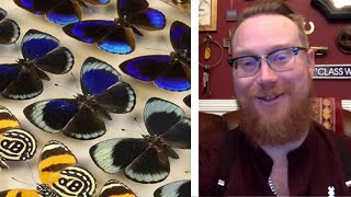 The Fountaine-Neimy Butterfly Collection • Natural History with Norwich Castle