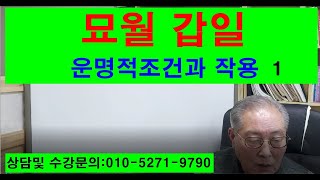 묘월갑일의 운명적조건과 작용 1