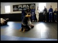 Brazilian Jiu-Jitsu: Mendes brothers rolling