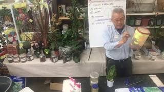 WHAT IS PERFECT SOIL AND HOW TO FIX PLANTS? | LIVESTREAM