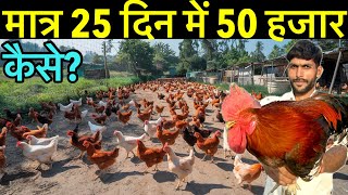 Small poultry farm business plan॥desi murgi palan॥Desi poultry farm business plan