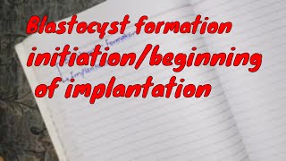 Blastocyst formation, initiation /beginning of implantation