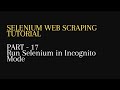 17. Run selenium in Incognito Mode -Python