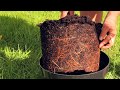 59 Degrees How to Guide: Using Radigrow™ & Radispores™ to plant trees - Gardeners