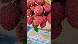 fress juice lichi /#new #new #ytshort #food #youtubeshorts #shorts