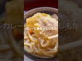 絶対食べたい！この夏究極に美味しいスパイシー冷やしカレーうどん！【手打ちうどん清水屋】 讃岐うどん vivasnut