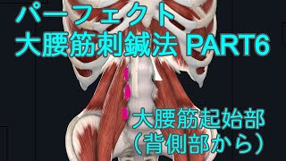 パーフェクト大腰筋刺鍼法　ＰＡＲＴ６大腰筋起始部（背側部から）