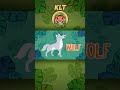 Wolves Are Fluffy & Have Long Snouts! | KLT Wild #shorts