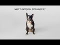 Let’s Explain A.I. With the Help of This Dog | Presented by Facebook