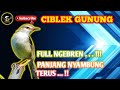 CIBLEK GUNUNG | FULL NGEBREN..Nyambung VARIASI TEMBAKAN..‼️