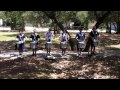 2011 mcneil snareline pre season triplet roll