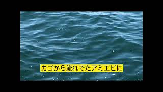 貝塚人工島　サヨリ群れ動画！　fishingmax　二色の浜店