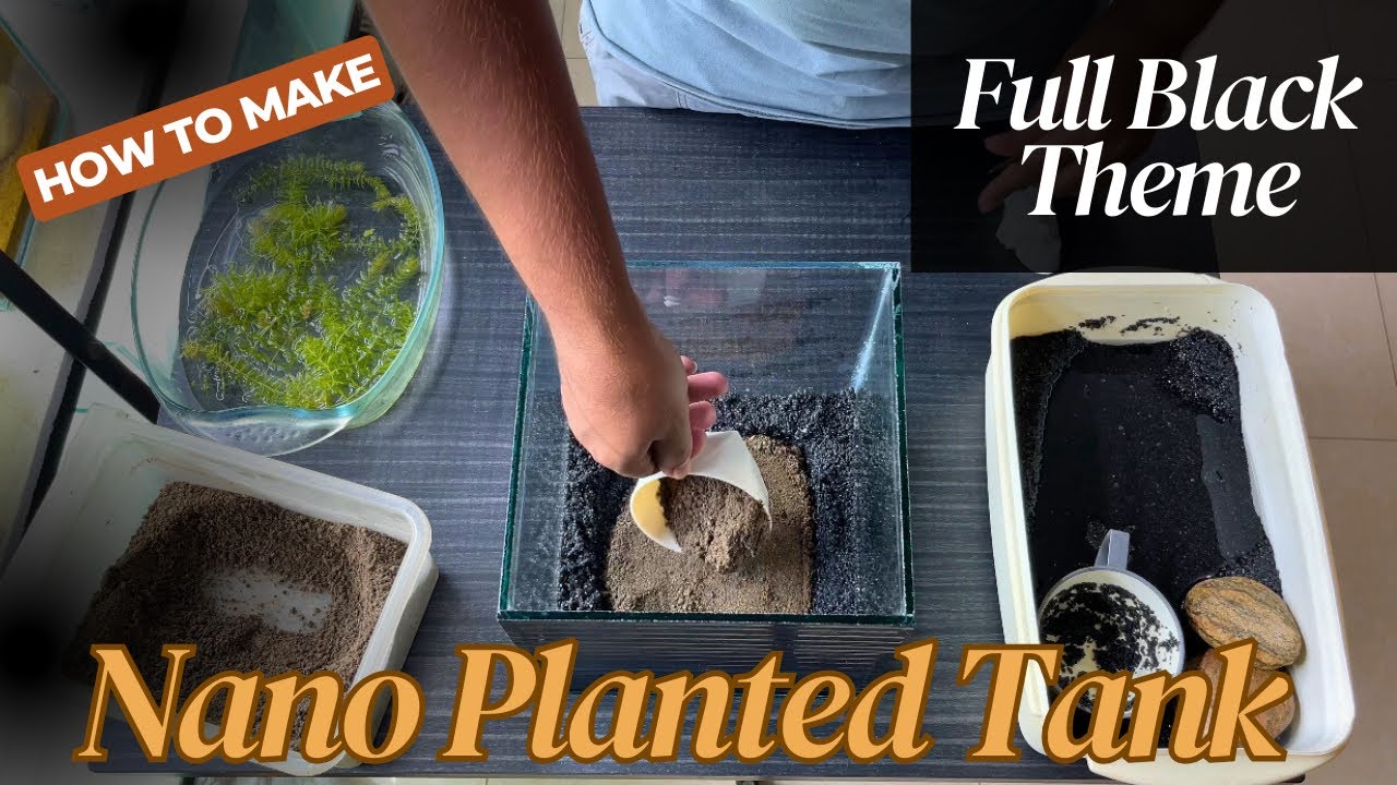 Nano Planted Tank Setup Step By Step Guide For Stunning Aquascaping
