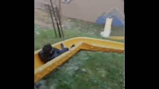 Whoever designed this slide really hates children