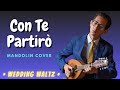 Con Te Partirò (Andrea Bocelli) - Wedding waltz, Mandolin Cover #mandolin #wedding